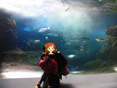 新江ノ島水族館の大水槽